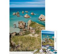 Teenagers 1000 Piece Jigsaw Puzzle Nugget Point Educational Game Improve Memory Educational Toy Decompressing Intellectual (50x75cm)