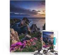 teenagers 1000 Piece Jigsaw Puzzle Sunset Coastline für Lernspiel-Herausforderungsspielzeug Geschenkideen38x26cm