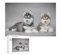Teenagerss 1000 PCS Jigsaw Puzzle Siberian Husky Puppies Jigsaw Anti-Stress Toys Home Decoration Unique Birthday And Xmas Gifts 1000 PCS