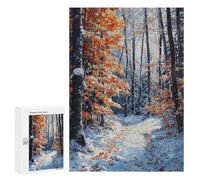 Teenagerss 300 PCS Jigsaw Puzzle Winters Path Puzzle for Adults Family Games Staycation Kill Time Unique Birthday And Xmas Gifts 300 PCS