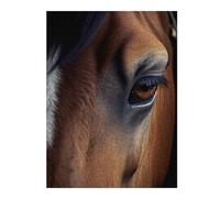 Teenagerss 500 PCS Jigsaw Puzzle Horse Close Up Adult Jigsaw Toy Wall Decor Difficult Challenge Fun Activities at Home 500 PCS