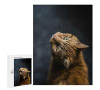 Teenagerss 500 PCS Puzzle Curious Ginger Cat Adult Jigsaw Puzzles Precision Cutting Help The Brain Exercise Challenging Family Fun Game 500 PCS