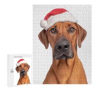 Teenagerss Puzzles 500 PCS Jigsaws Rhodesian Ridgeback Dog with Santa Hat Portrait Puzzles for Adults Anti-Stress Toys Analysis And Logic for Birthday, Chrismas 500 PCS