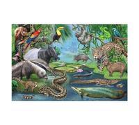 Teenagerss Puzzles 75x50cm/1000pcs Jigsaws Rainforest Wildlife Compilation Jigsaws for Adults Hands-on Game Analysis And Logic Unique Birthday And Gifts 75x50cm/1000pcs