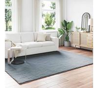 Teenpull Olite Faux Fur Rabbit Rug, Anthracite, 240 x 340 cm, Extra Soft, Polyester, Rectangular, Durable, for Living Room, Bedroom, Warm Cosy Floor Cover