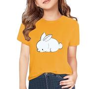 Teens Girls T-Shirt Short Sleeve Shirt Toddler Rabbit Bunny Print Cute Summer Tops Tees Dinosaur Graphic Tee Clothes for Boys (Yellow, 6-7 Years)
