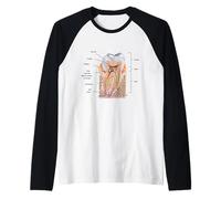 Teeth Diagram Blueprint Dentist Dental Anatomy Raglan Baseball Tee