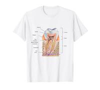 Teeth Diagram Blueprint Dentist Dental Anatomy T-Shirt