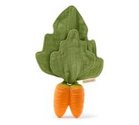 Oli&carol Cathy The Carrot Mini Doudou Teether Green