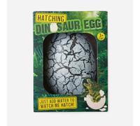 TeeToe Hatching Dinosaur Egg, T-Rex Toy, Water-Activated Educational Toy, Ages 3+, Perfect for Birthdays and Holidays, Educational Science Experiment
