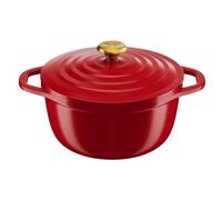 Tefal Air Stewpot 24 cm, 4.7 L, Lightweight Cast Aluminum, Easy to Clean, Safe Ceramic Coating, Condensation Lid, Robust, Oven-Safe, Induction Cookware, E2544604