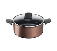 Tefal G2534632 Resource Stewpot 24 CM, Titanium Pro Non-Stick Coating, Thermal Signal, Durable, Suitable for All Hobs, Easy Clean, Brown