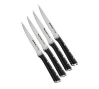 Tefal Ice Force Stainless Steel Steak Set of 411 cm, K232S414, Silver/Black