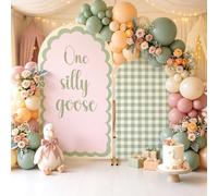Tegeme Pink Green 2 Pcs 7.2ft 6ft One Silly Goose Arch Backdrop Cover Vintage Farm Goose Gingham Themed Stretchy Fabric Arch Backdrop Covers for Birthday Baby Shower Wedding Party Decoration (Cute)