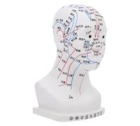 TEHAUX 20CM White Head Acupuncture Model Four Functions, Facial Acupoint and Massage Teaching Tool for Medical and Traditional Chinese Therapy
