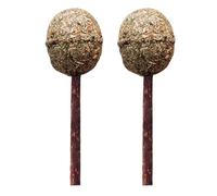 TEHAUX 2pcs Cat Mint Lollipop Cat Molar Distracts from Biting Furniture Cleans Cat's Teeth Wood Catnip Edible Gum Polygonum for Playing at Home Suitable for Small to Medium