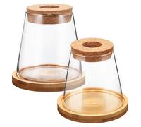 TEHAUX 2pcs Glass Plant Vase with Wooden Stand 330ml Tapered Hydroponic Plants Growth Display Elegant Sleek Unique Design for Balconies and Tables