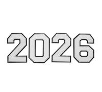 TEHAUX 4pcs White Chenille Number Patches 2026 Embroidered Appliques for Clothing Hats Bags with Iron-on Application, Easy to Apply, Towel Embroidery Material for DIY Projects and School