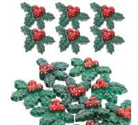 TEHAUX 50pcs Resin Holly Berries Embellishments for Christmas Wreath Crafts and DIY Ornaments, Odour Free and Not Easy to Fall, Christmas Supplies to Add a Festive Atmosphere