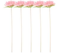 TEHAUX Aromatherapy Diffuser Rattan Reed Sticks with Artistic Dried Flowers 5pcs 10.24 Inch Wooden Aroma Sticks for Essential Oil Bottles and Indoor Decoration