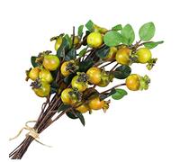 TEHAUX Artificial Rosehip Berries Bouquet, Simulation Pomegranate Fruit Floral Accessories, Group of 6 Silk Flowers in Green, No Watering, Blooming Four Seasons, Decorative for Living