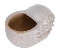 TEHAUX Ceramic Pot Ocean Shell Shape Adorable Plant Holder Beige Elegant Succulent Planter Enhances Indoor Decor for Home and Bookshelves