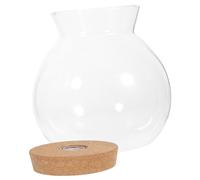 TEHAUX DIY Micro Landscape Bottle with LED White Light Borosilicate Glass Transparent Vase for Hydroponics Creative Micro Aquarium Terrarium for Plants and Fish Decoration