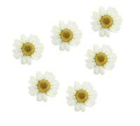 TEHAUX Dried Daisy Flowers Resin Crafts 12Pcs Natural Mini Flat Pressed White Daisies for Wedding Decoration and Jewelry Making