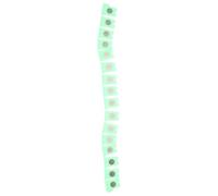 TEHAUX Grinding Edge Shield Paint Edge Protector Car Protective Strip for Car and Vehicle's Surface Sanding Projects, Plastic and Metal, Green
