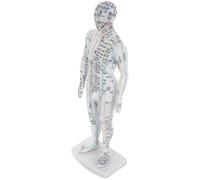 TEHAUX Human Acupuncture Model Male Body with Precise Pressure Point Mapping and for Traditional Chinese Medicine Teaching and Massage Training