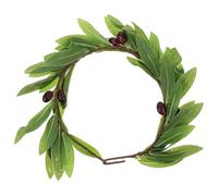 TEHAUX Lightweight Fabric Olive Leaf Headband with Simulation Leaves, Stylish Green Floral Crown Hair Accessory for Brides and Party Guests