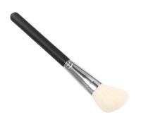 TEHAUX Multi-function Cosmetic Makeup Brush F40 Angled Bristle Contour Concealer Blush Powder Brush for Professional Home Use