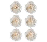 TEHAUX Peony Diffused Flowers Aroma Diffusers 6pcs Natural Straw Paper Reed Sticks with White Color for Interior Decoration and Flameless Aromatherapy Diffuser at Home