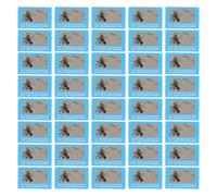 TEHAUX Polarized Sunglasses Test Card for Quick Verification 100pcs Lightweight Paper Lens Polarization Tester Portable Wallet Size Fishing Image Graphics for Optical Shops and Retail