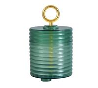 TEHAUX Portable Facial Cleaning Foaming Bottle Green, Manual Face Wash Bubble Maker with Compact Soap Bathing Bubbler for Skincare and Daily Cleansers