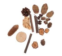 TEHAUX Rustic Forest Wood Branches Pine Cones Leaves Set Natural Dried Fruit Craft Kit for Photo Booth Props Home Decor Fall Tree Ornaments Decoration