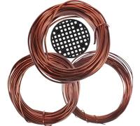 TEHAUX Wire Features and Easy for Fine Gardening Use Workmanship to Training Kit Climbing Wires, Copper and Plastic Material with Bonsai Plants Vine Tree DIY