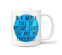 TeHe Gifts in A World Full of Cunts You're My Favourite Gift Mug
