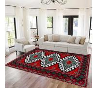 Tehocwiz Large Latch Hook Kits for Adults Latch Hook Rug Kits Rug Making Kit for Adults Printed Color Canvas Crocheting Crafts Embroidery for Beginners 69 x102 cm