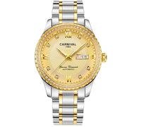 TEINTOP Watches for Men Mechanical Watch Rock Crystal Inlay Bezel Automatic Wristwatches (Silver Gold)