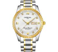 TEINTOP Watches for Men Mechanical Watch Rock Crystal Inlay Bezel Automatic Wristwatches (Silver Gold White)