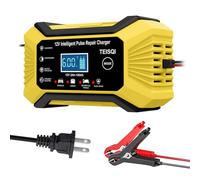 TEISQI Car Mounted 12v 6a Intelligent Battery Charger Detects Battery Voltage, Temperature Compensation, Fully Charged Self Stop, Suitable for Cars, Trucks, Motorcycles, Lawn Mowers, Boats (Yellow)