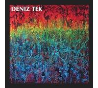 TEK - MEAN OLD TWISTER - Vinyl Record - P3z