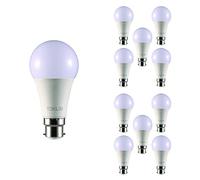 TEKLED® A60 LED Bulbs | B22 Bayonet Cap | Energy Saving 12W Light Bulb 100W Incandescent Bulb Equivalent | 2700K 1020LM NONDIMMABLE | 10-Pack | Warm White