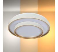 TEKLED myHome Modern Two-Layer LED Flush Mount Ceiling Light | 24W Dimmable Ceiling Light with Remote Control | 3000-6000K White Tuneable | for Living Rooms Offices Hallways | White (Built-in LED)