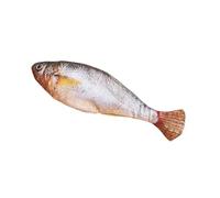 Teksome Fish Cat Toy,150mAh Cat Flopping Fish Toy | Automatic Realistic Interactive Hunting Play Enrichment with Washable Cover for Exercise Boredom Relief Indoor Outdoor Home