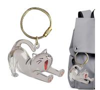 Teksome Pet Keepsake Box,Pet Refillable Hair Keyring | Memorial Acrylic Clear Pendant Key Chain for Backpack Purse Charm Women Collection Men Bag