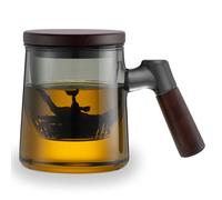 TELANKS Borosilicate Glass Tea Cup with Metal Strainer, 500ml, Transparent, Suitable for all occasions, Hot Drinks, Home