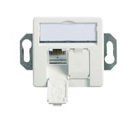 Telegärtner 100022957 Network outlet CAT6A 2 ports Alpine white