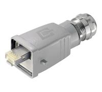Telegärtner j80026 a0018 RJ45 Grey - CONNECTOR (Grey)